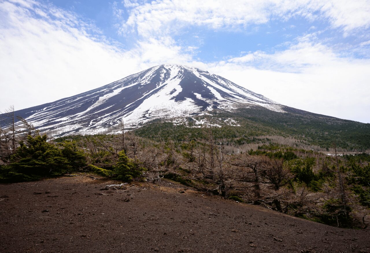 Mt. Fuji